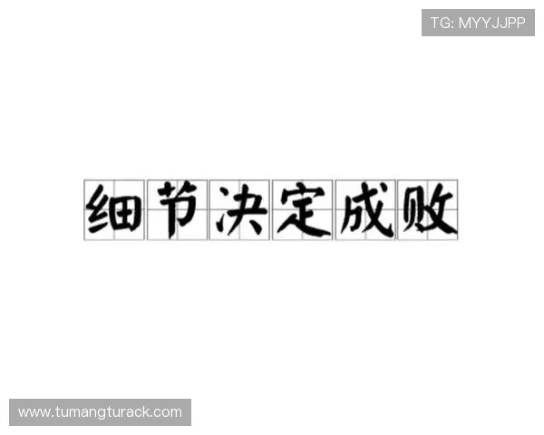3. 细节决定成败，掌握这些ag捕鱼稳赚技巧助你成功一击必中