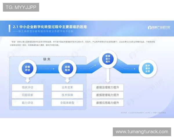 凯发公司在数字化转型过程中面临的挑战与应对策略 凯发公司在数字化转型过程中面临的挑战与应对策略